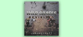 Wild Chases Revisited