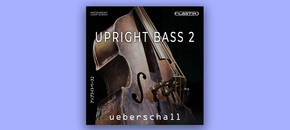 Upright Bass 2