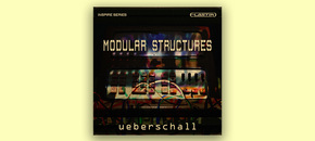 Modular Structures