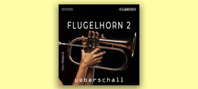 Flugelhorn 2